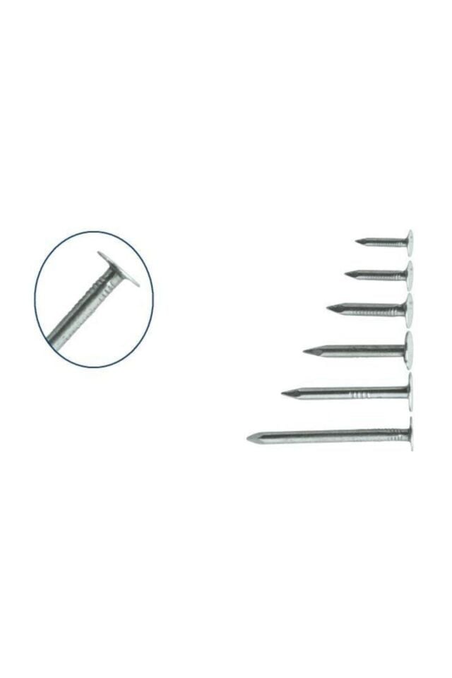 Şıngıl Çivisi Shingle Çivi Çatı Membran Çivi 2 Cm (1 Kg)